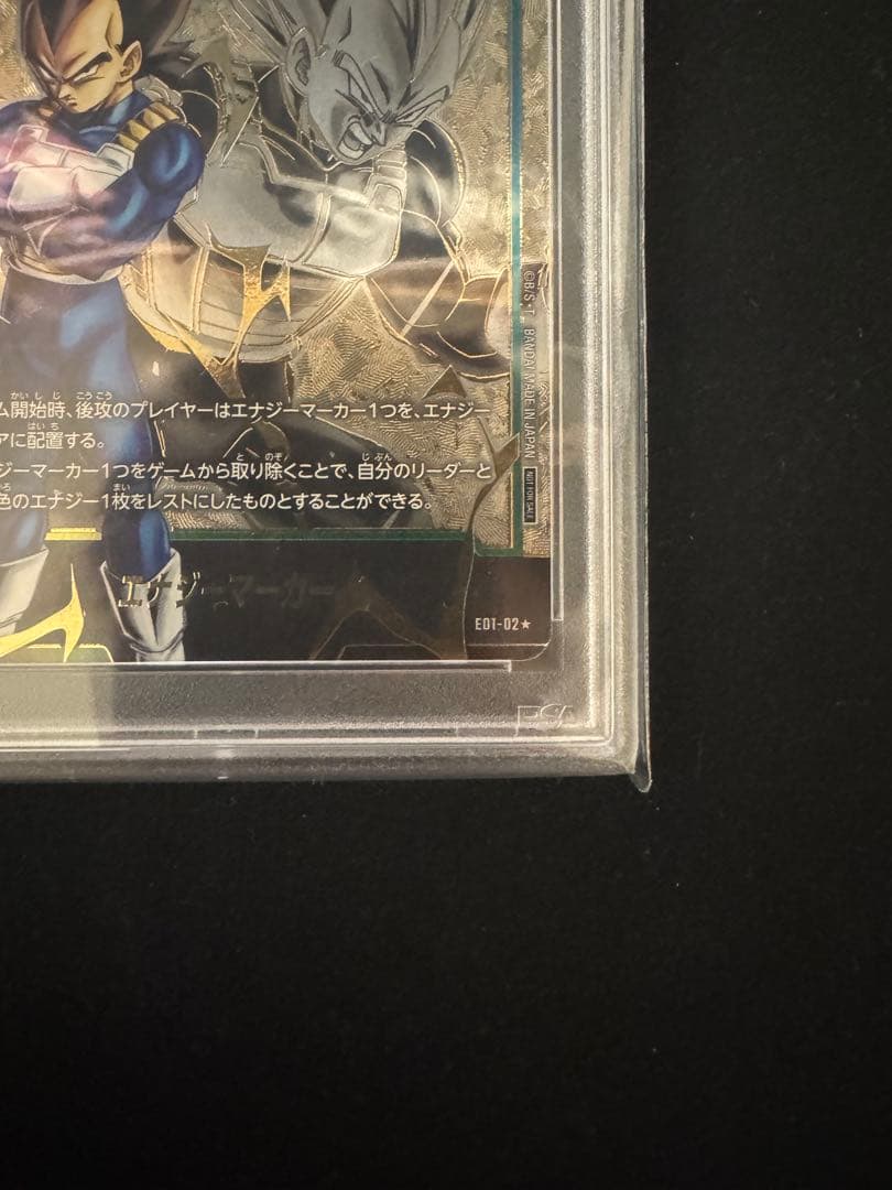 2024 DBS FSN WORLDJP エネルギーマーカー オルタネートアート