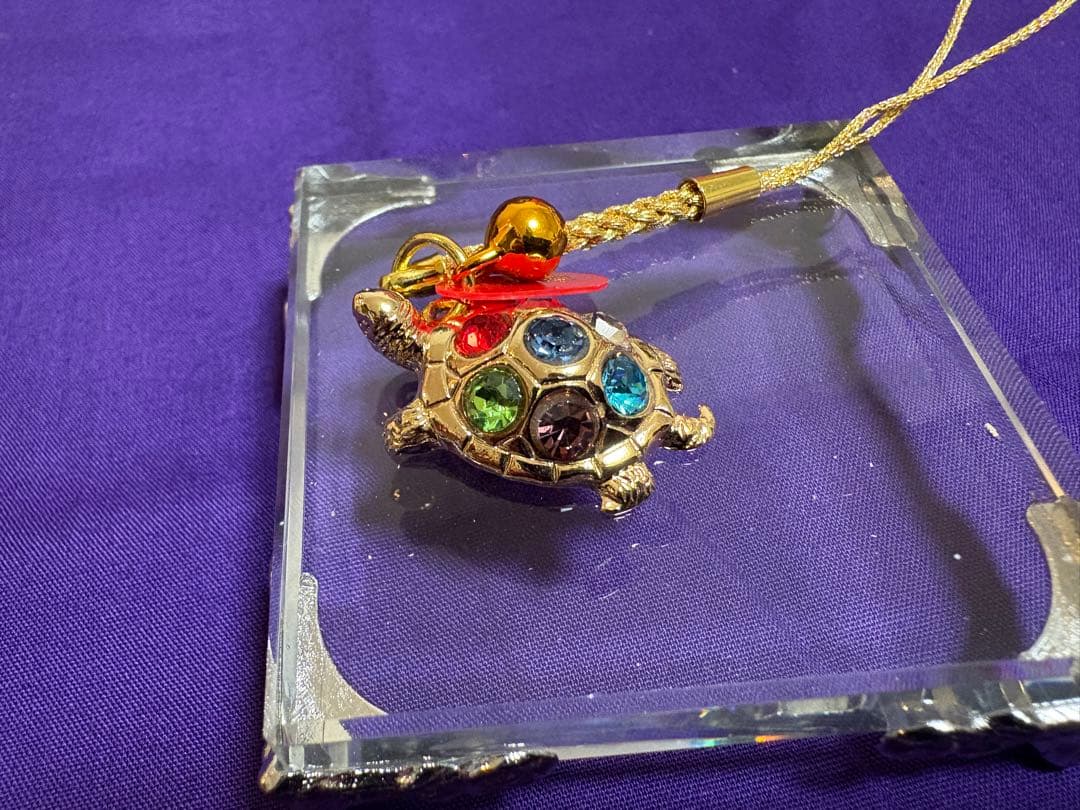 【A級呪物】千宝亀（金運解放系）