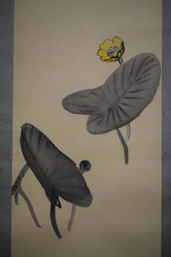 真作/庭山耕園/河骨図/コウホネ図/桐題箱付/布袋屋掛軸