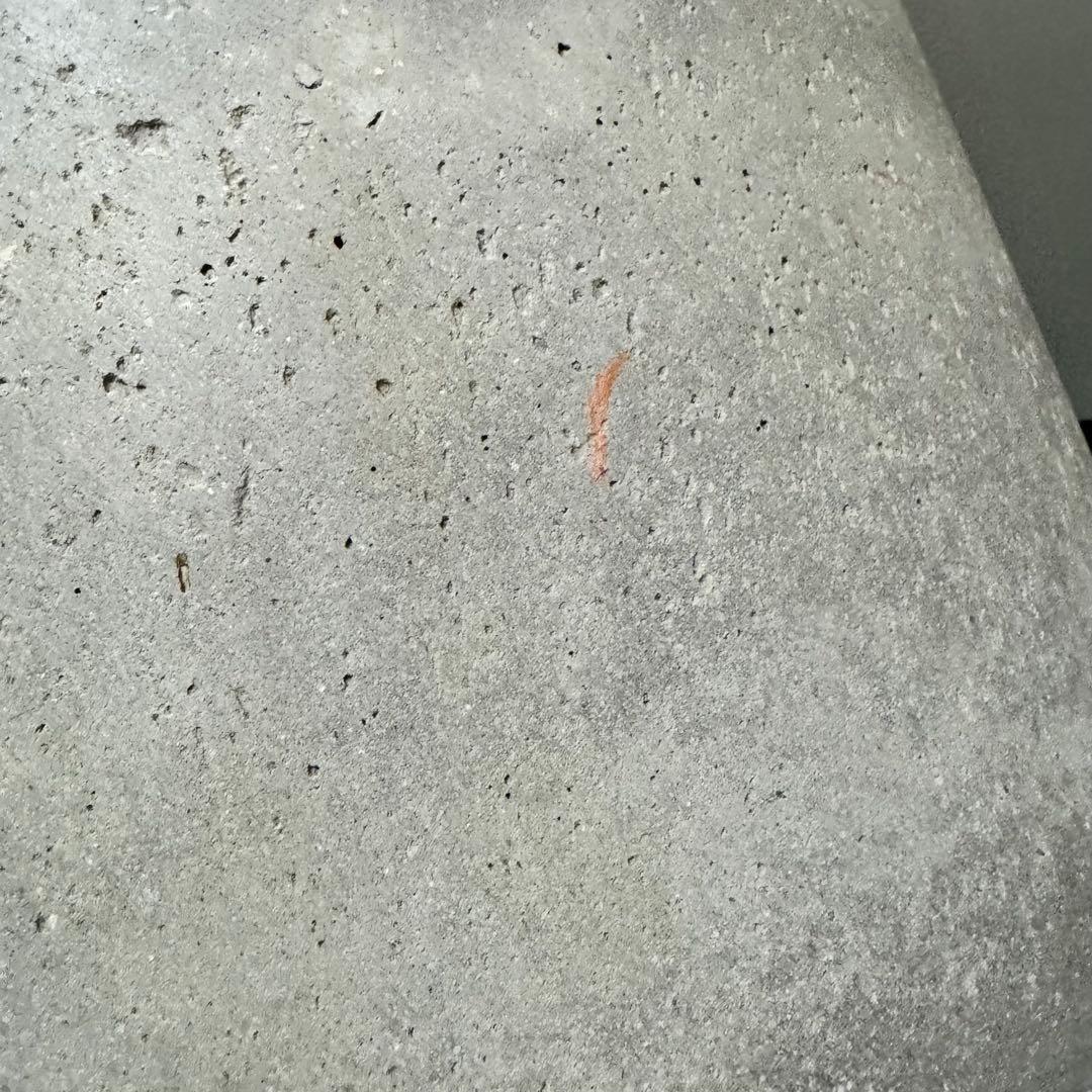 無印良品 セメント鉢 プランター 13号 観葉植物 プランターカバー