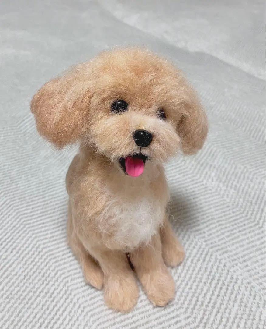 羊毛フェルト　マルプー