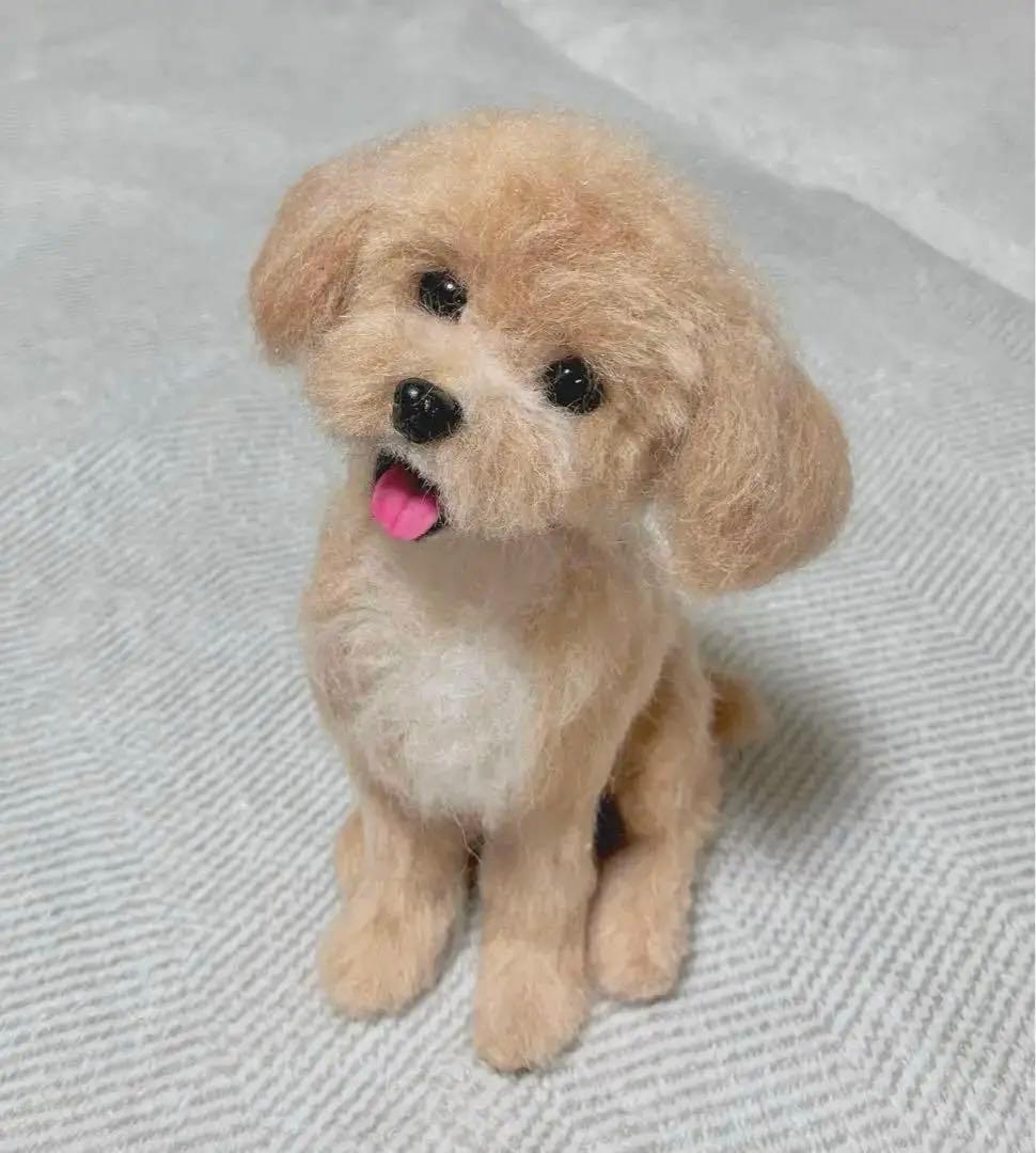 羊毛フェルト　マルプー