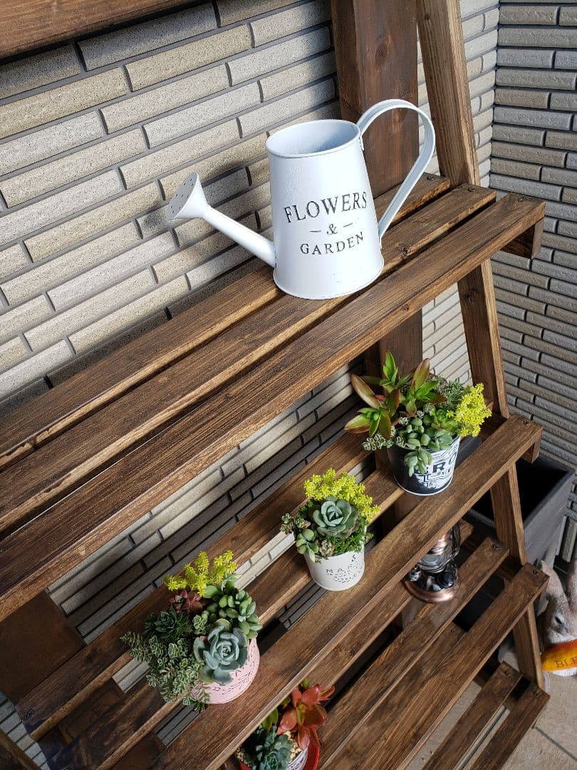 高さ170幅75奥行35  ガーデンシェルフ　ウォールナット　棚　観葉植物