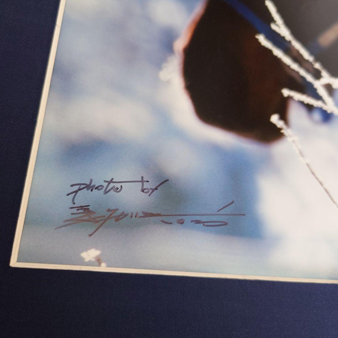 JRA 競馬 馬写真（額入り）冬花