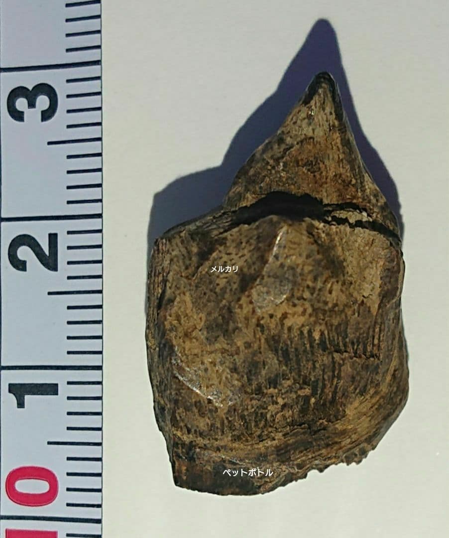 ベトナム フエ産 伽羅 奇楠 沈水2.7g