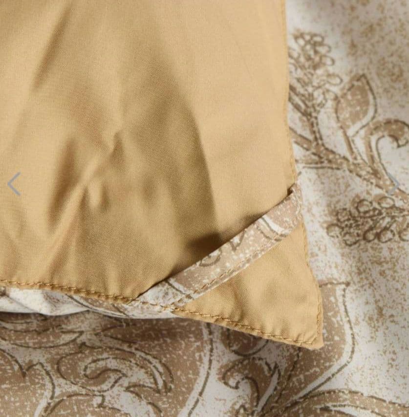 【モリリン 】あったかふわもち 東レ カーボンテック 防ダニ 防ホコリ 掛け布団