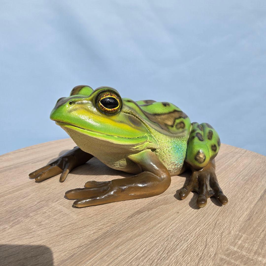 子キンスジアメガエル アニマルオブジェ リアル 置物 インテリア 軽い