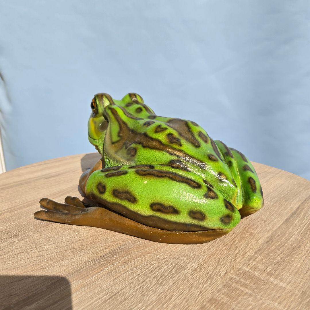 子キンスジアメガエル アニマルオブジェ リアル 置物 インテリア 軽い