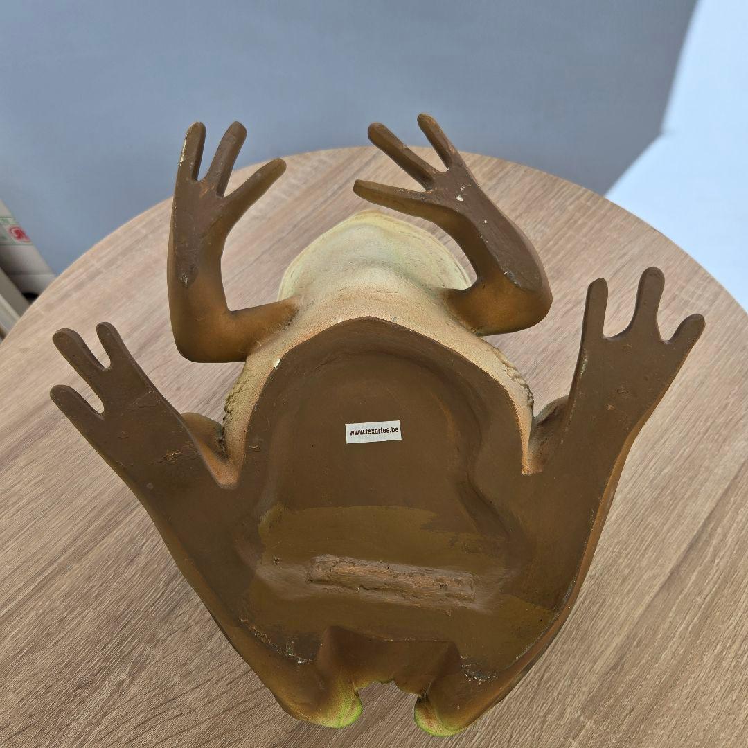 子キンスジアメガエル アニマルオブジェ リアル 置物 インテリア 軽い