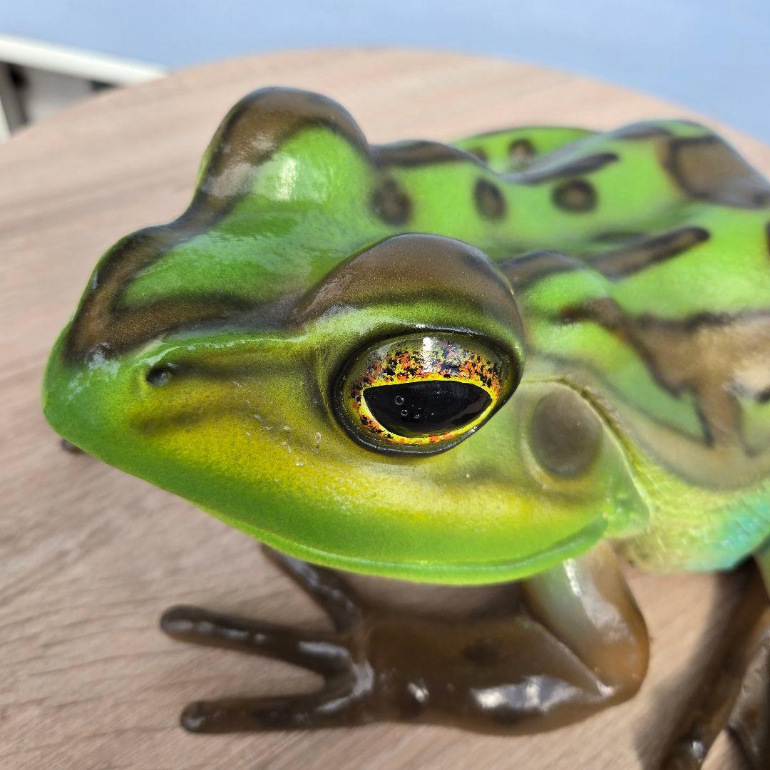 子キンスジアメガエル アニマルオブジェ リアル 置物 インテリア 軽い