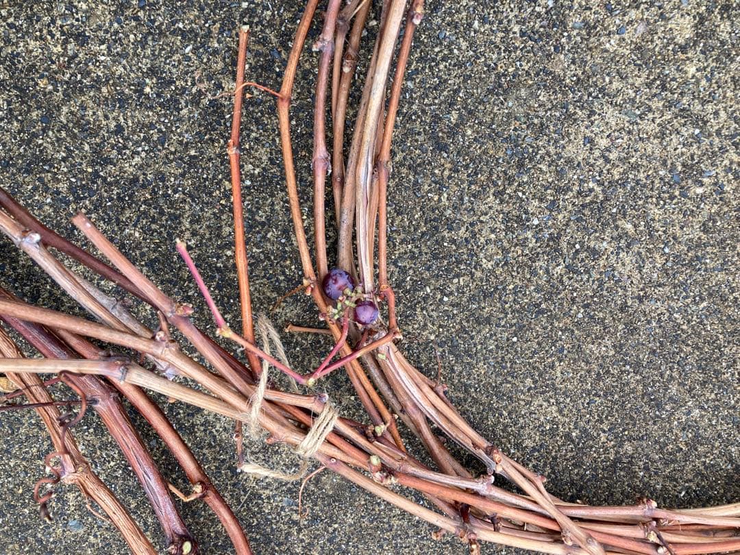 ヤマブドウの蔓　1.4kg 40〜200cm