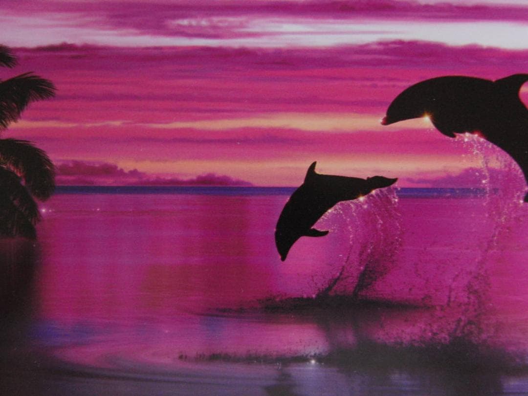 クリスチャン・ラッセン、【サイレント イリュージョン】 - メルカリ