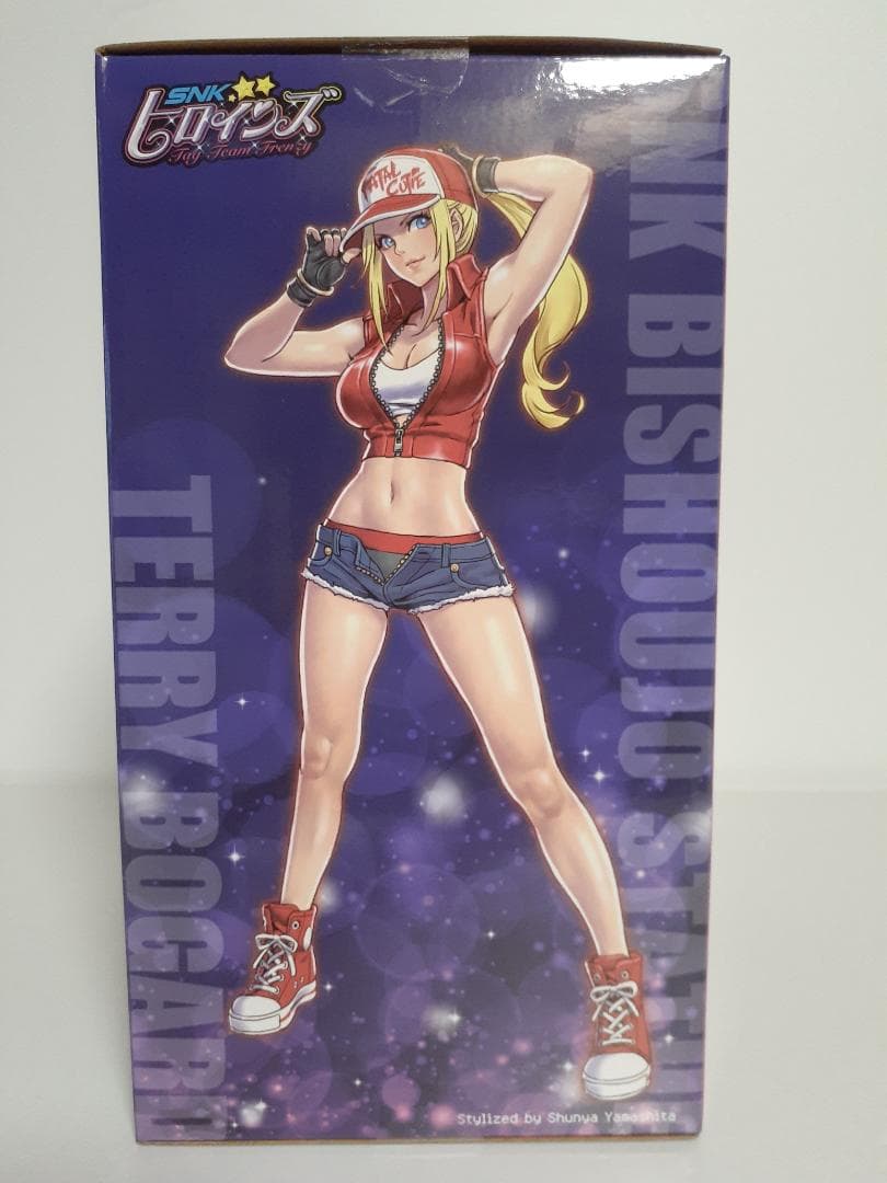 SNK美少女 テリーボガード -SNKヒロインズ Tag Team Frenzy