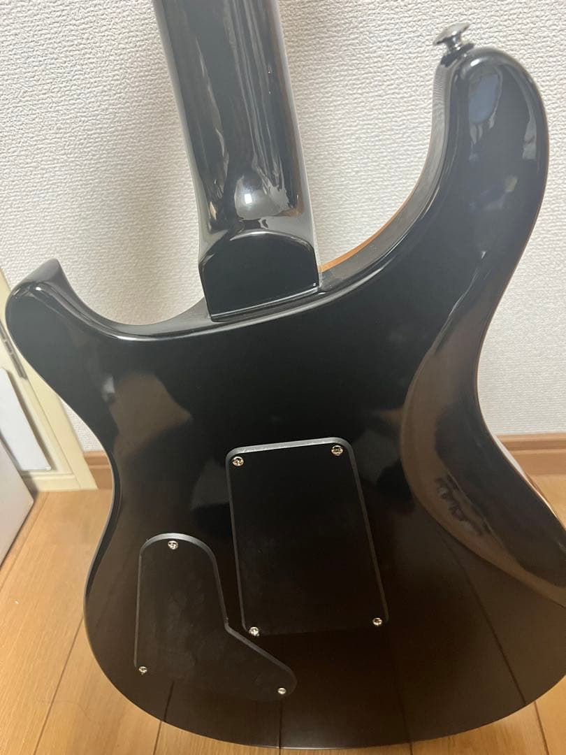 ギター PRS SE Custom 24 \"Floyd\" - 2024