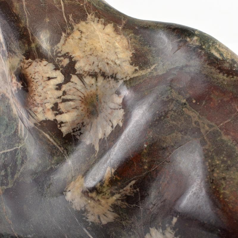 天然石　鑑賞石　菊花石　置物　重さ約1kg　唐木台付　V　R6665