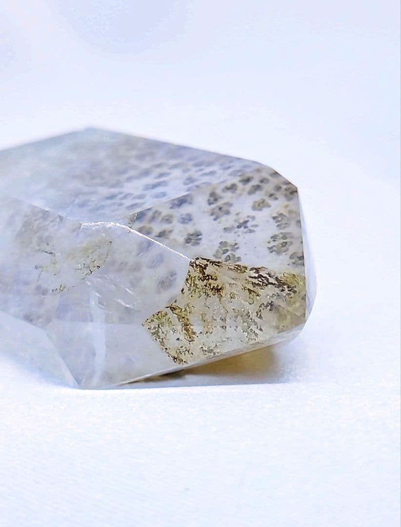 デンドリティック　ゴールデンヒーラー　ポイント　虹　豹柄　リバーシブル