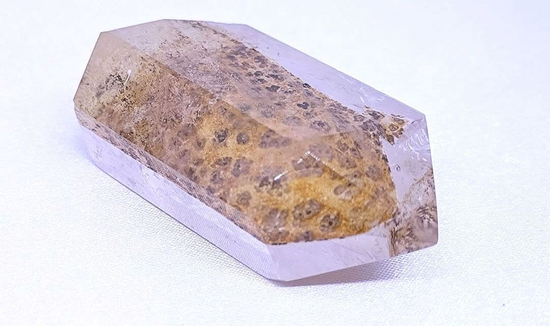 デンドリティック　ゴールデンヒーラー　ポイント　虹　豹柄　リバーシブル