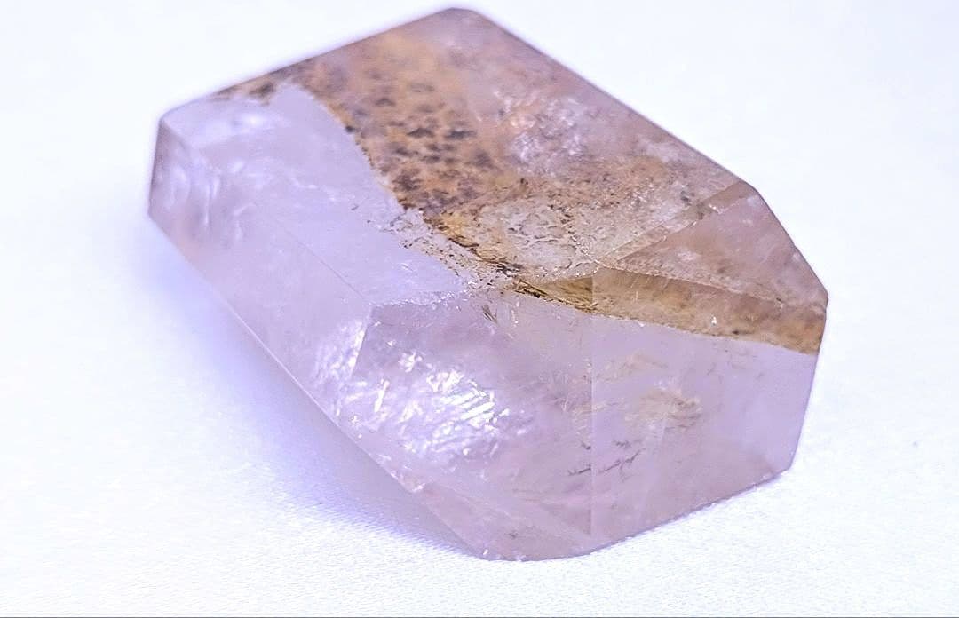 デンドリティック　ゴールデンヒーラー　ポイント　虹　豹柄　リバーシブル