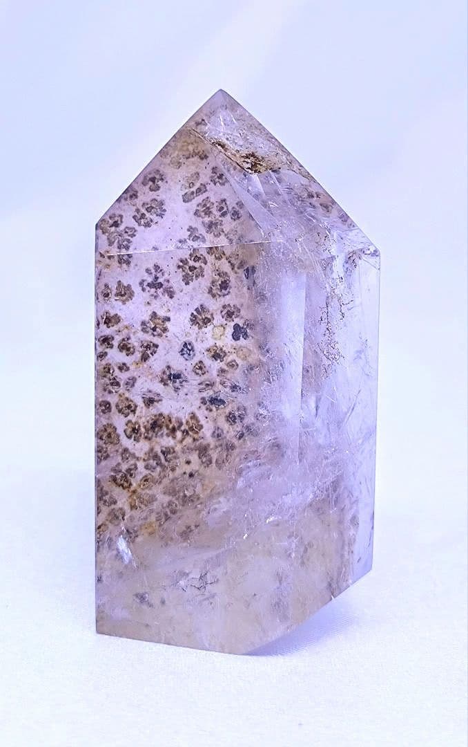 デンドリティック　ゴールデンヒーラー　ポイント　虹　豹柄　リバーシブル