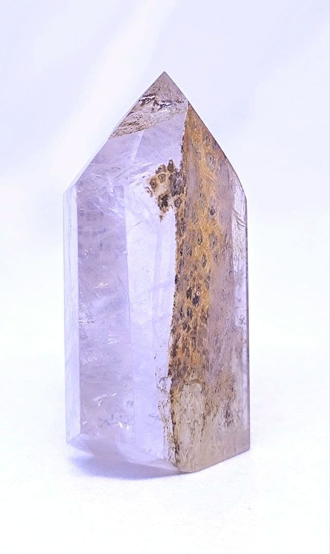 デンドリティック　ゴールデンヒーラー　ポイント　虹　豹柄　リバーシブル