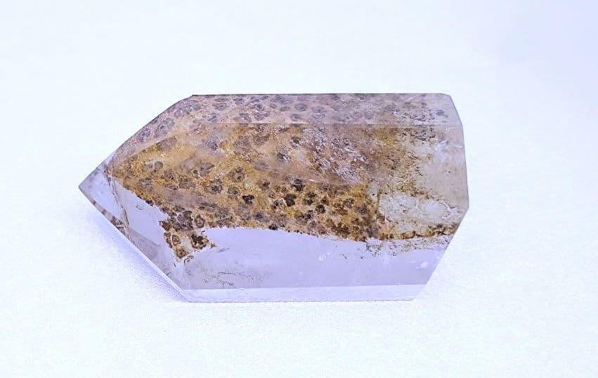 デンドリティック　ゴールデンヒーラー　ポイント　虹　豹柄　リバーシブル