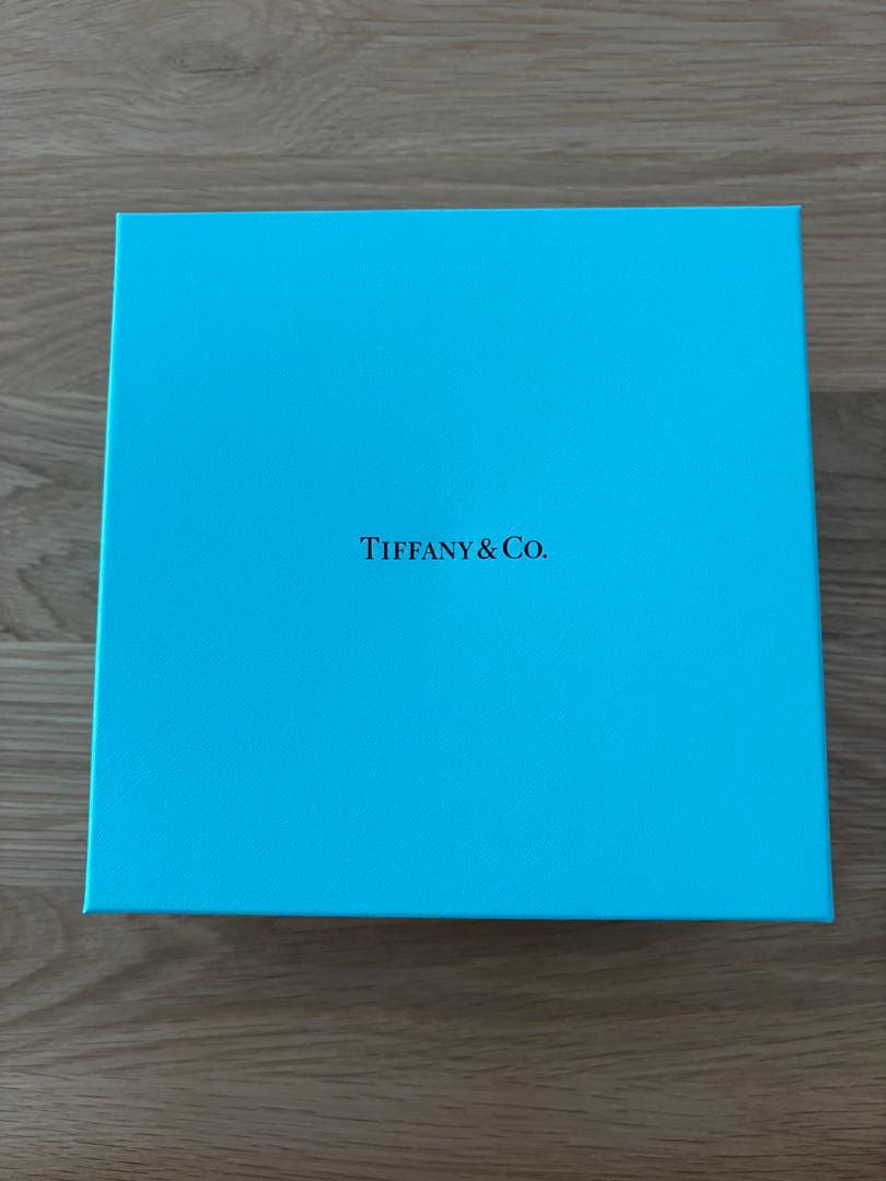 Tiffany＆Co. アンパーサンド プラター　大皿《新品　未使用》