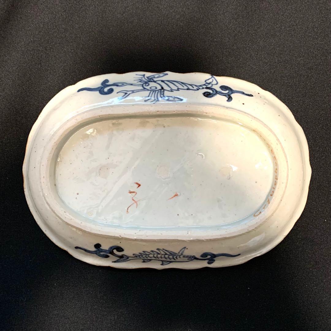 松浦コータロー 色絵 楕円輪花皿　クリオロフォサウルス