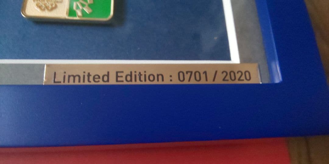 東京オリンピックオフィシャルピンバッジ☆シリアルナンバー入り☆激レア