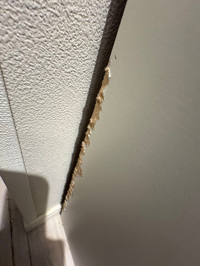 パモウナ カウンター 幅120cm 奥行45cm 高さ94cm シルキーナット