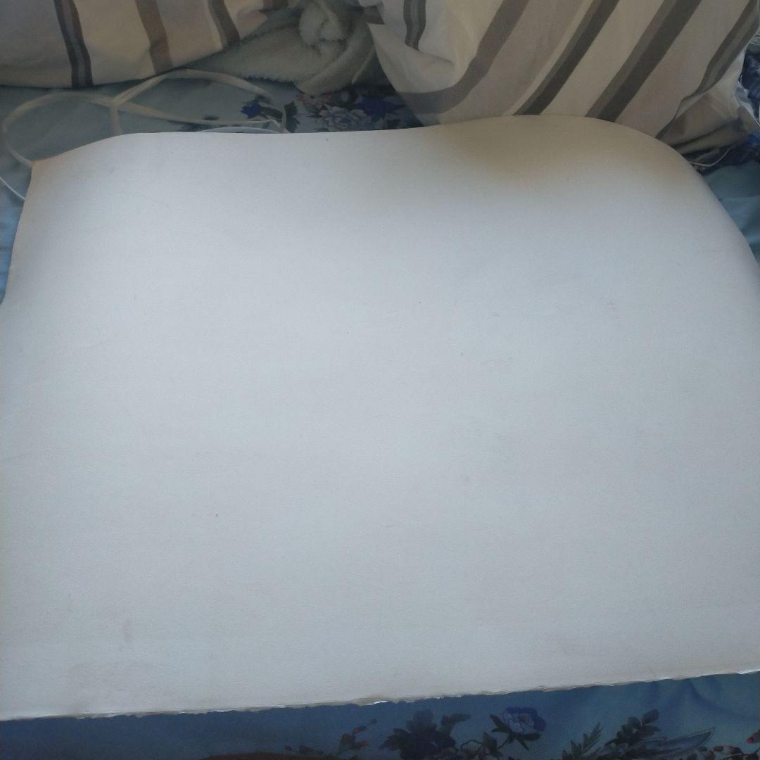 【真作保証】アンドレ・モレル 直筆サイン リトグラフ　限定BFK RIVES紙