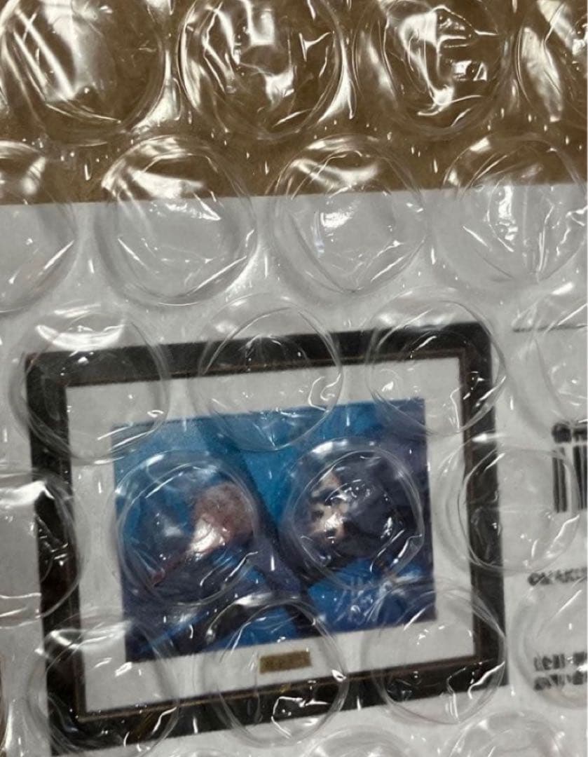 サクラノ詩 サクラノ刻 キャラファイングラフ 草薙直哉 夏目藍 - メルカリ