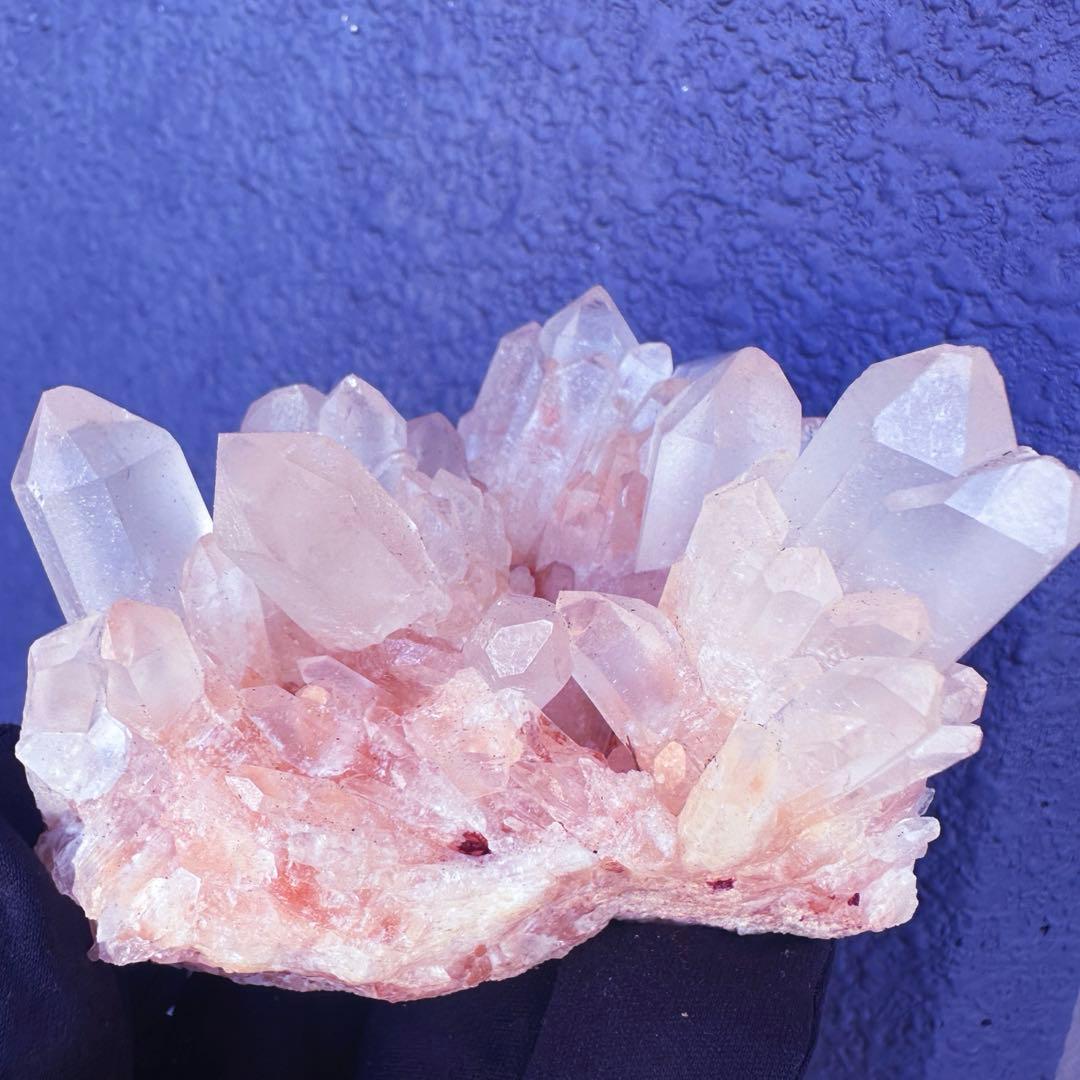 爆アレ❗️可愛いピンク♡超綺麗マダガスカル産パイナップルピンククラスターA1474