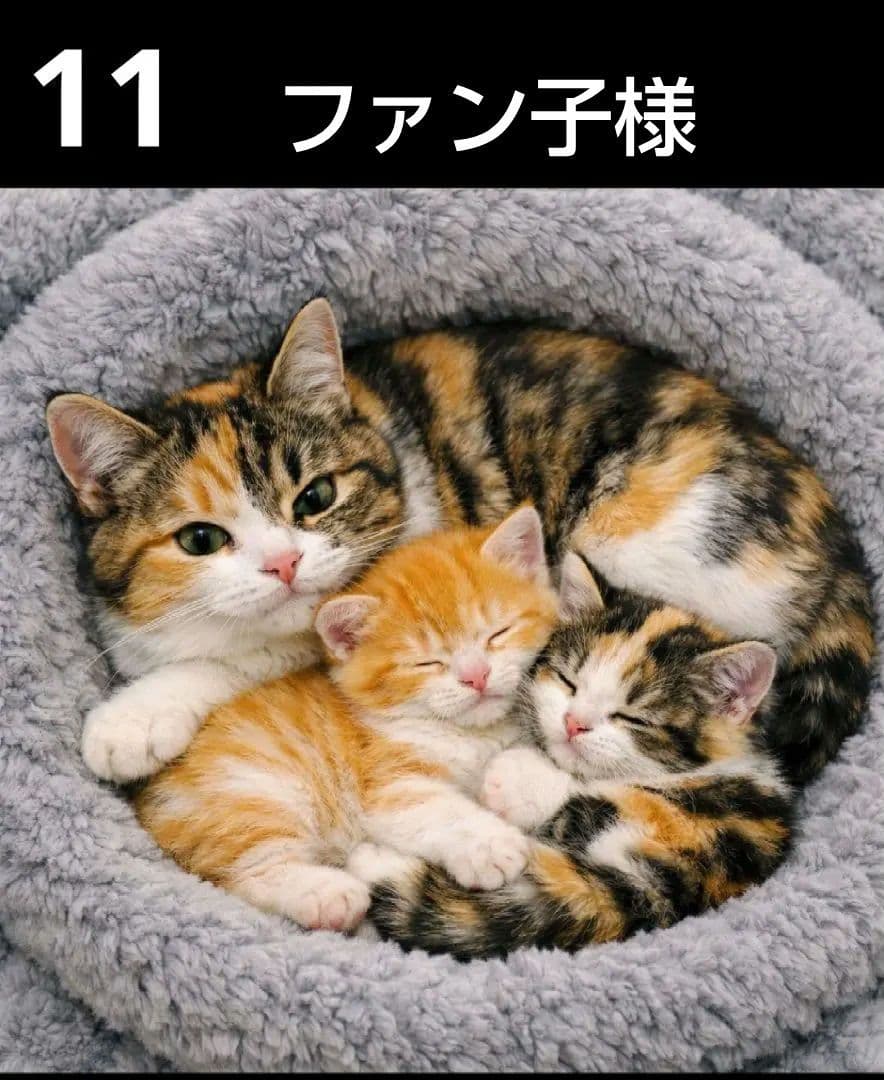 オーダーページ ハンカチ 314 ねこちゃん柄 ハンドメイド 2/2 - メルカリ