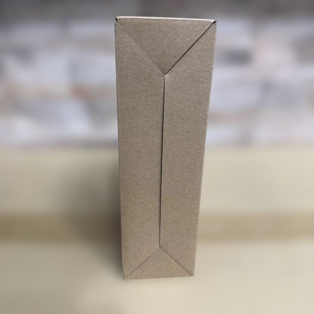 S.H.Figuarts 仮面ライダー BLACK SUN 初変身ver.