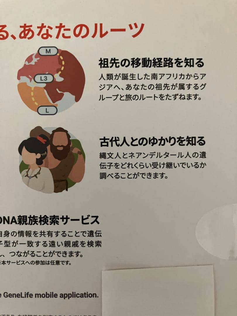 GeneLife Haplo 3.0 遺伝子検査キット（2個）