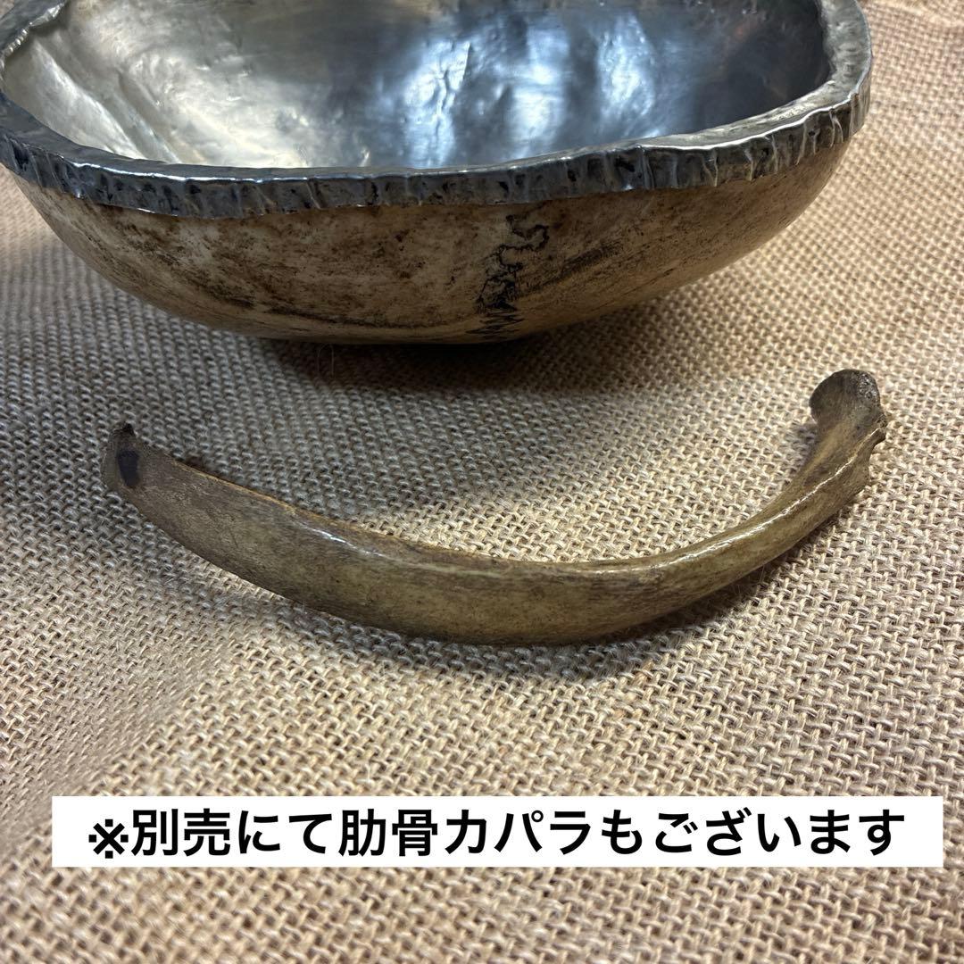 カパラ カパーラ ペンダント 僧骨 頭蓋骨 スカル チベット チベタン