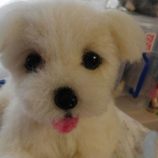 羊毛フェルト　メイソン様