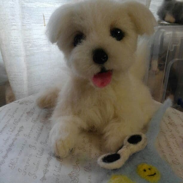 羊毛フェルト　メイソン様