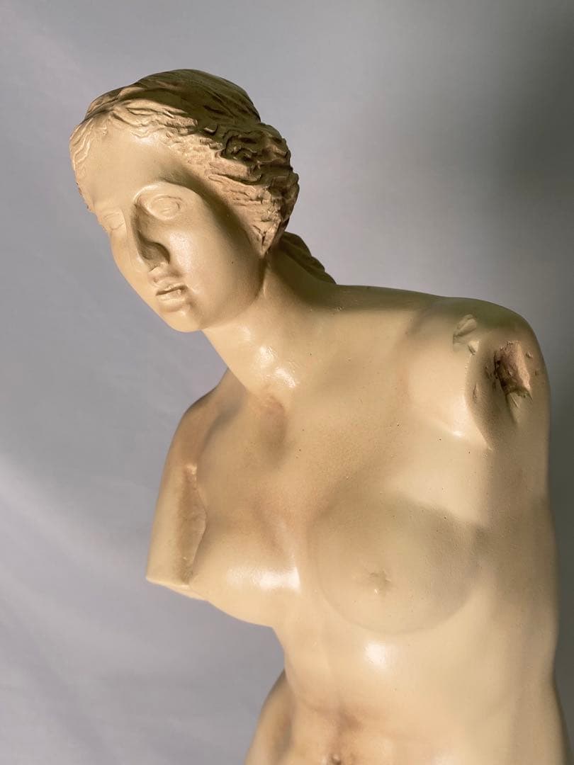 1923❣️ ルーブル美術館の至宝 ミロのヴィーナス像 - メルカリ