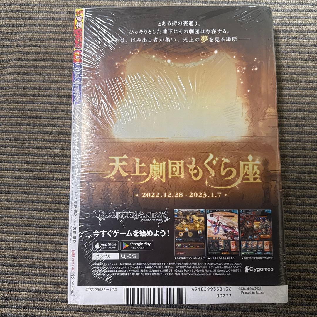 P】モンキー・D・ルフィ（週刊少年ジャンプ2023年6・7合併特大号付録