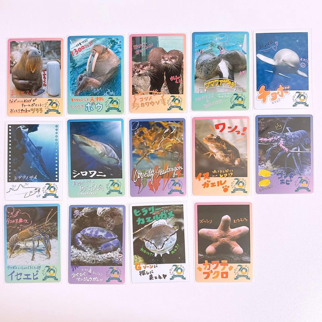 鳥羽水族館 コレクションカード - メルカリ