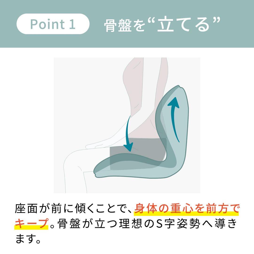 MTG 骨盤矯正クッション 黒　スタイルプレミアム