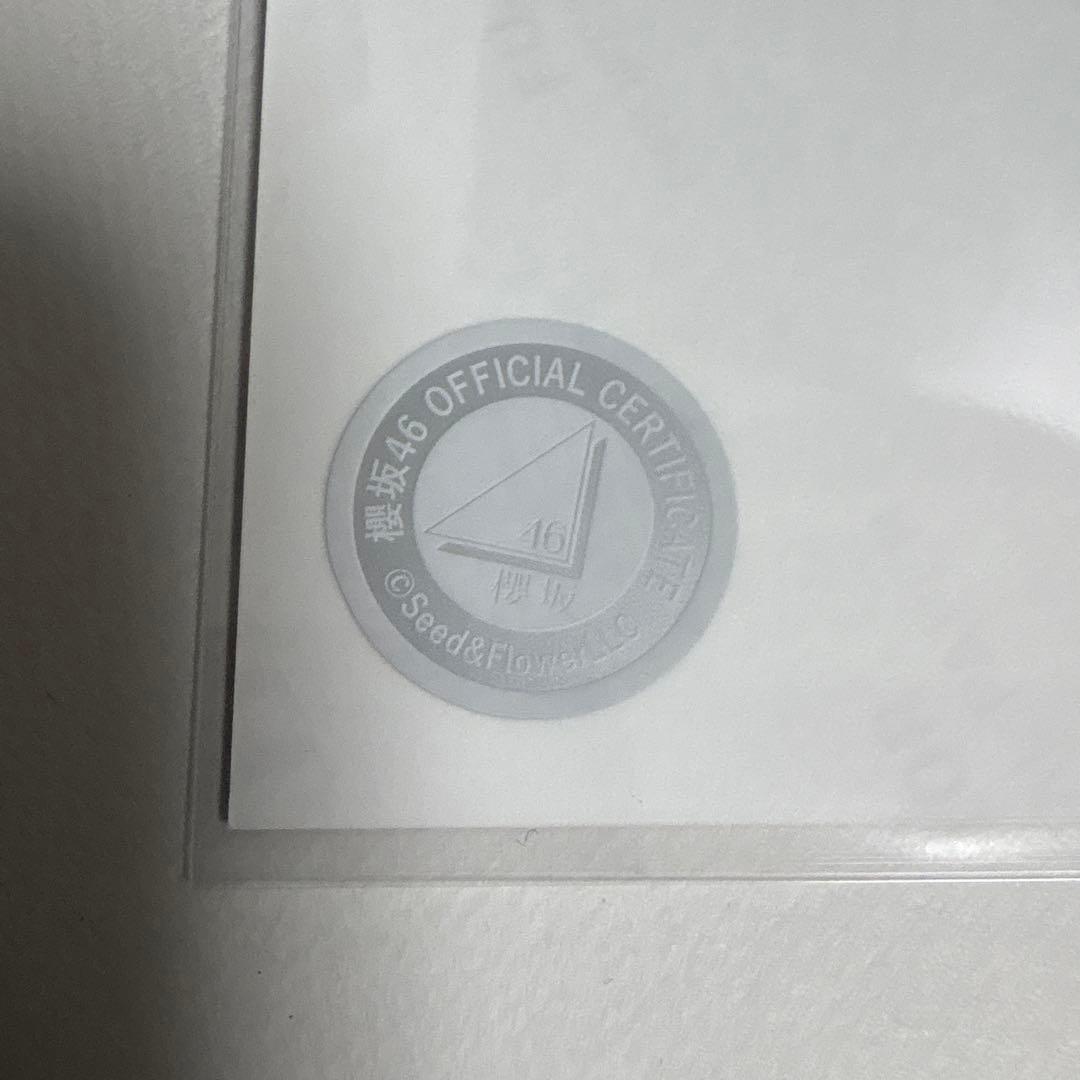 的野美青 櫻坂46 2025年 サンタ 生写真 直筆サイン