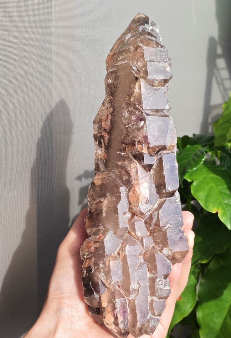 稀少　スモーキージャカレー水晶　ワニ水晶　骸骨水晶　原石　置物　天然石　標本