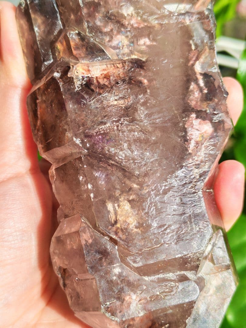 稀少　スモーキージャカレー水晶　ワニ水晶　骸骨水晶　原石　置物　天然石　標本