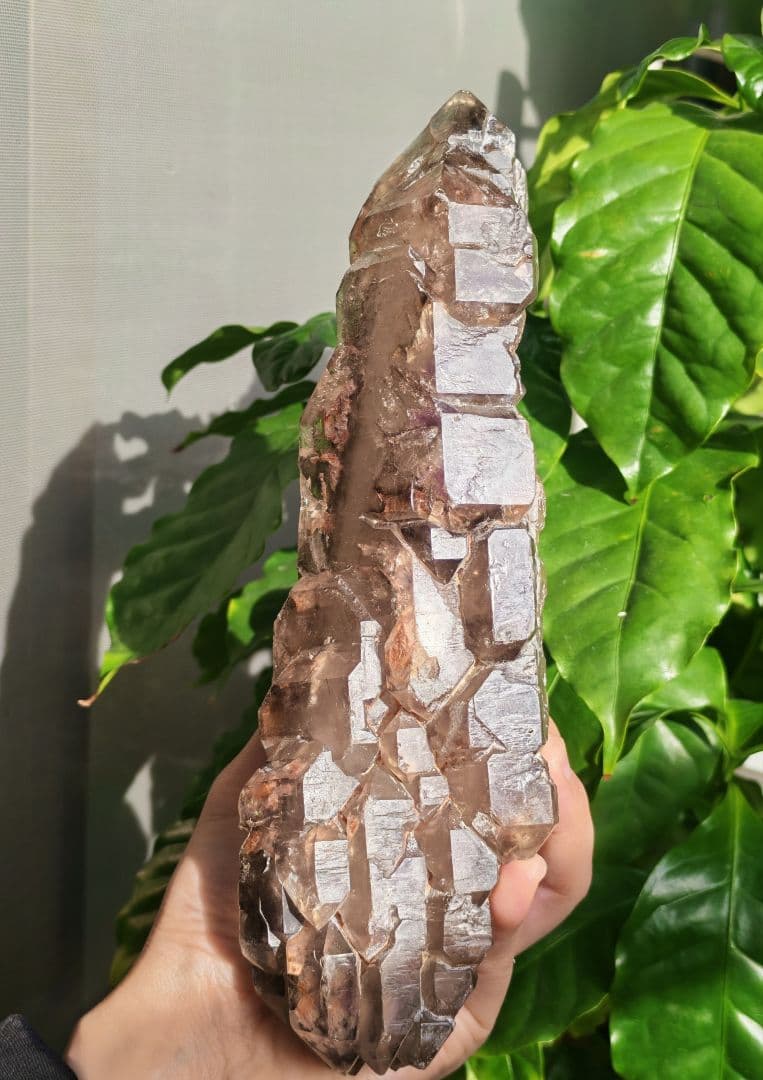 稀少　スモーキージャカレー水晶　ワニ水晶　骸骨水晶　原石　置物　天然石　標本