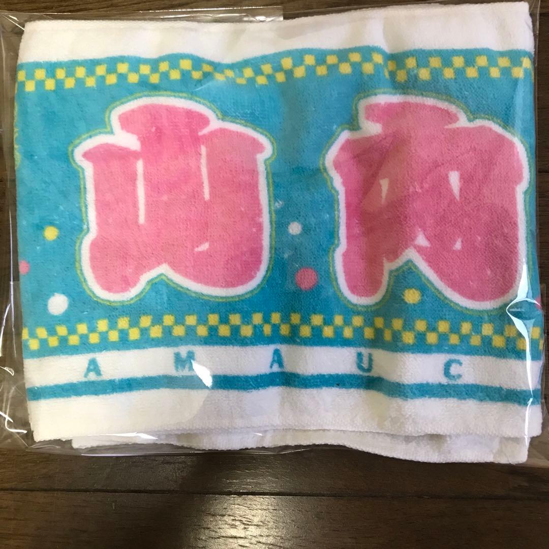 AKB48 TEAM4 山内鈴蘭グッズ256点まとめ売り