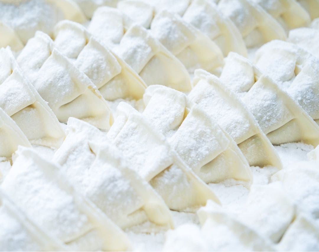 業務用　餃子製造機　東亜工業　餃子革命　MA-G-1030 餃子