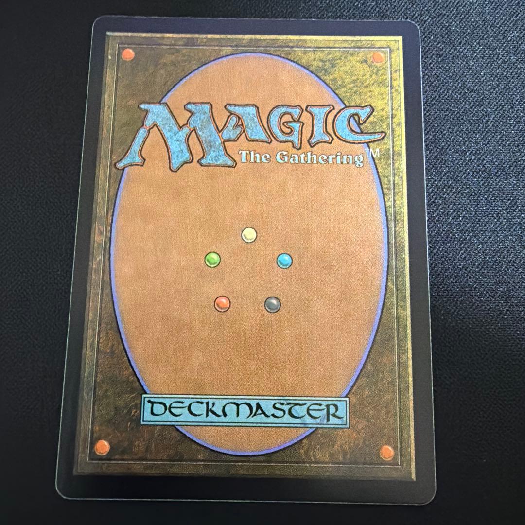 吸血の教示者　ボーダーレス　日本語