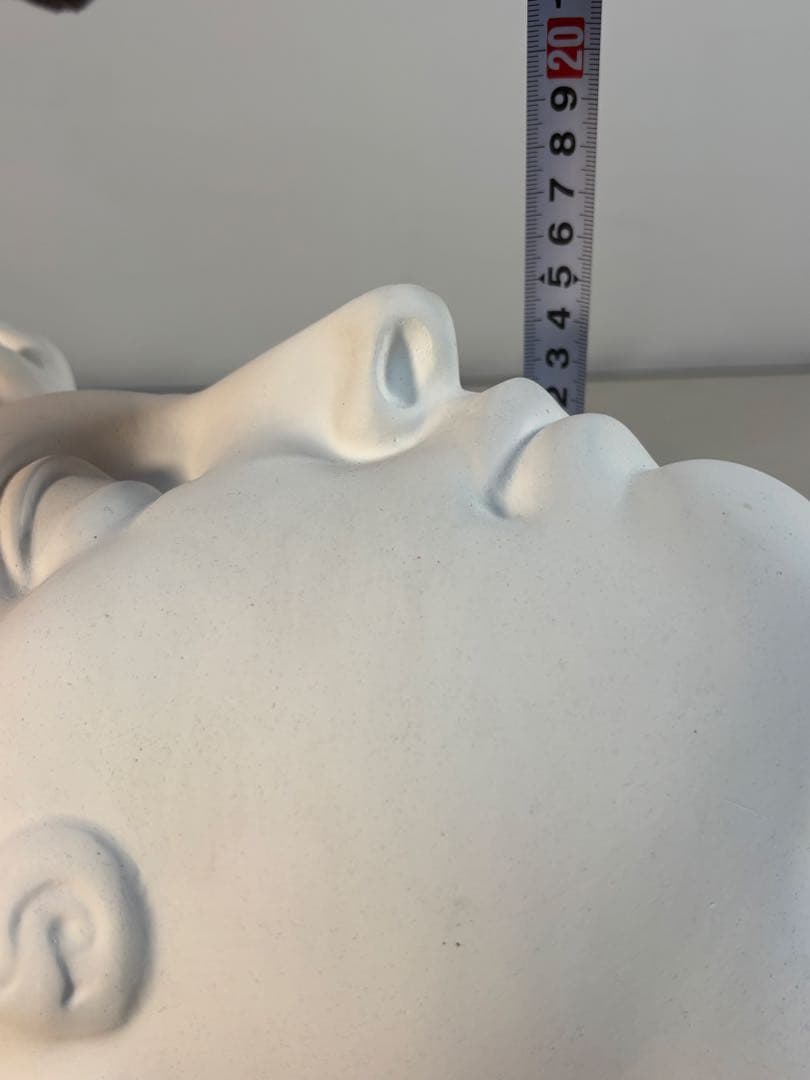 石膏像 メディチ デッサン 半面像 美術 絵画 オブジェ 彫刻 アート